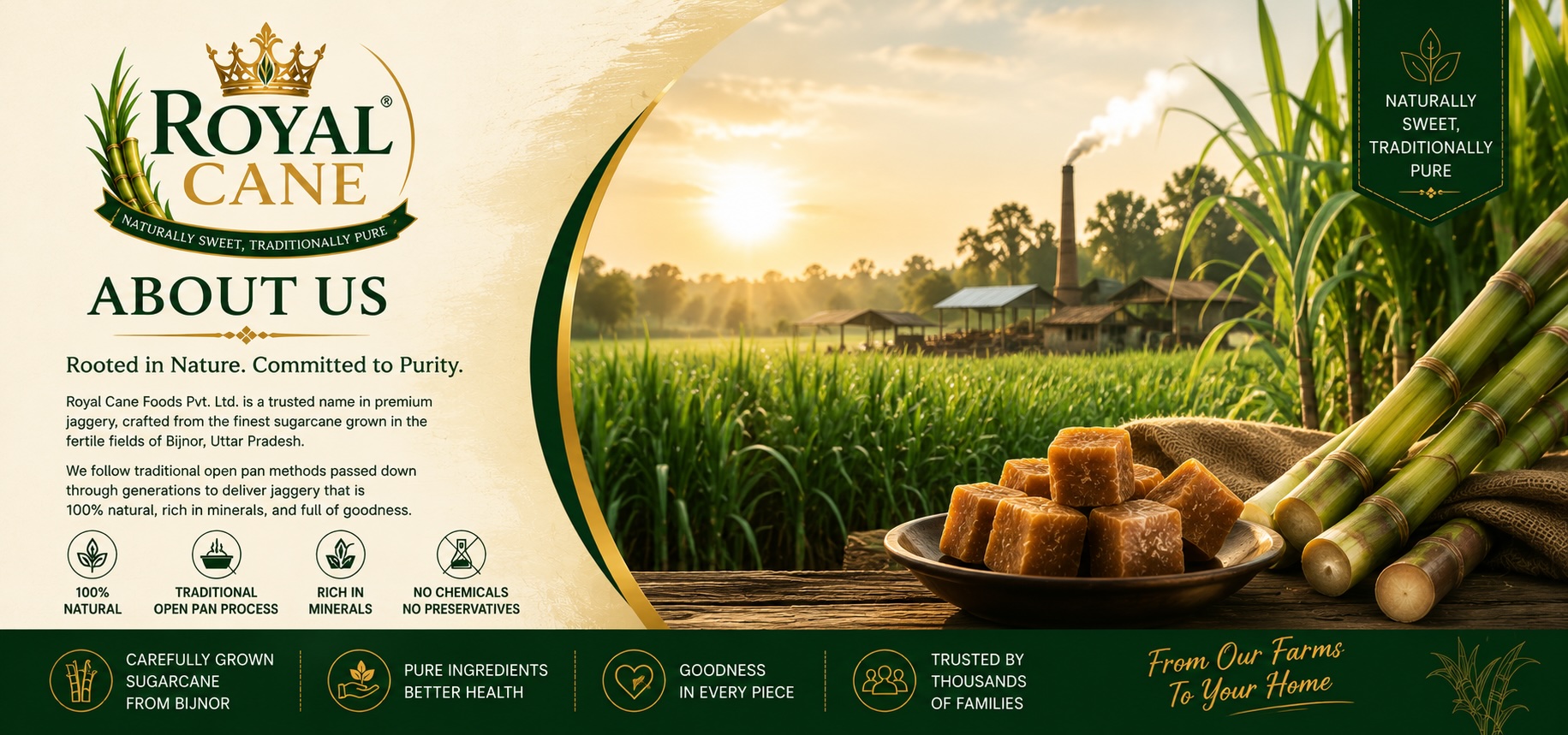 Sugarcane fields behind the Royal Cane story